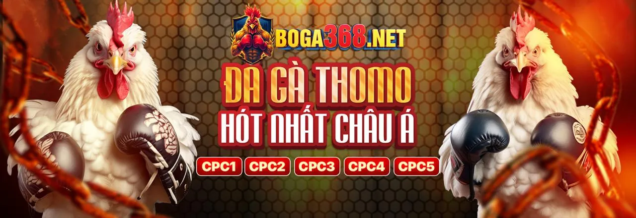 Cá cược có trách nhiệm và tự loại trừ tại 365 Bet